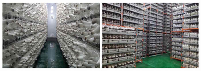 食用菌車間接種環(huán)境、用具的消毒滅菌