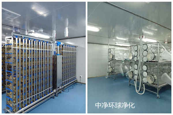 潔凈室工程 潔凈室工程